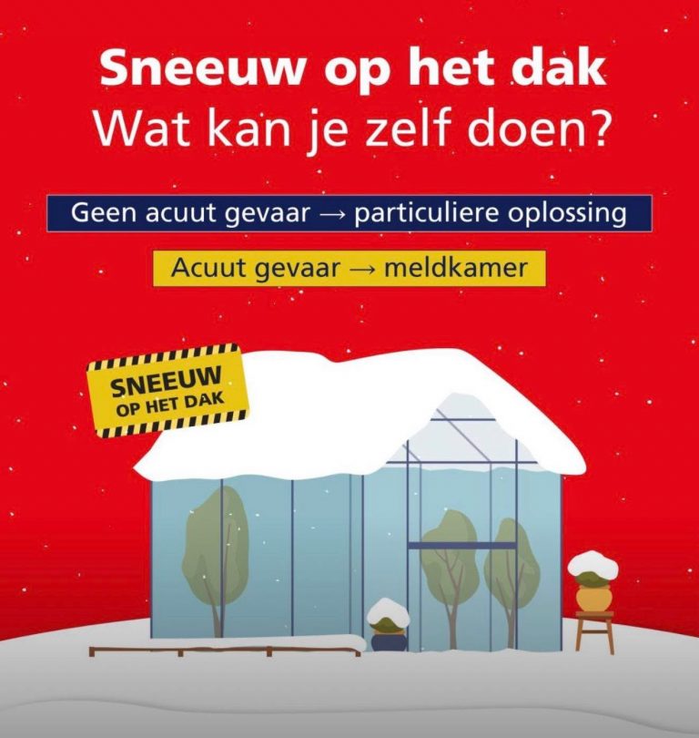 Sneeuw op het dak